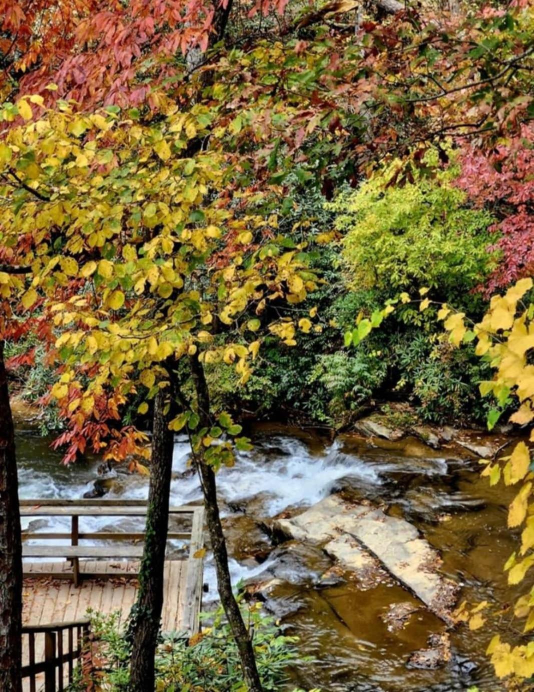 The Cascades Inn-Waterfall Retreat Tiger Εξωτερικό φωτογραφία